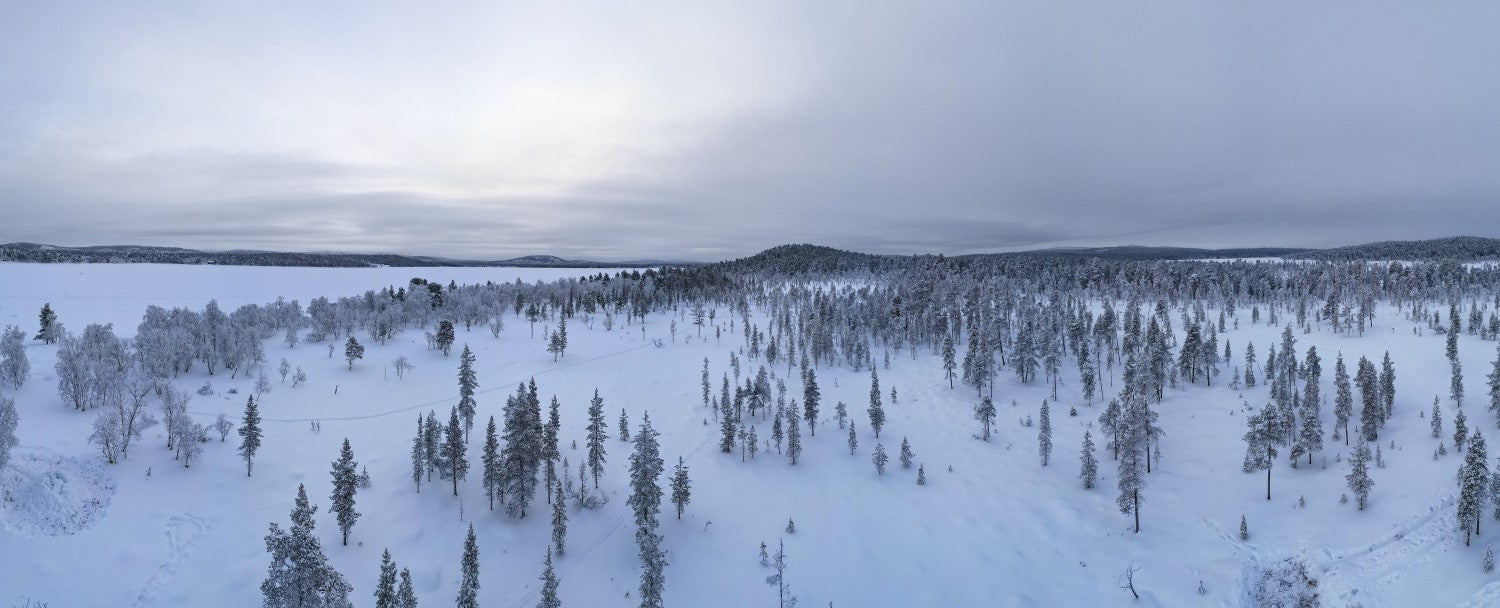 Into the White Silence,  A Rugged, Mystical, and Practical Journey With Ray Mears in the Finnish North