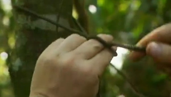 What Knots does Ray Mears use to Pitch his Tarp?