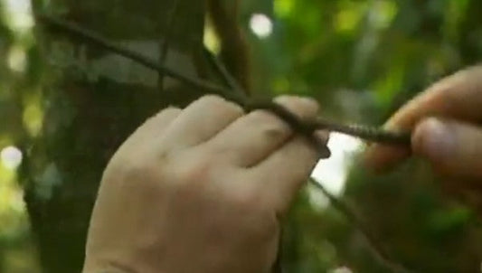 What Knots does Ray Mears use to Pitch his Tarp?
