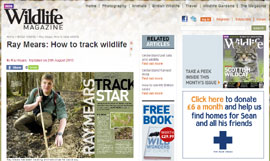 Ray Mears: How to track wildlife