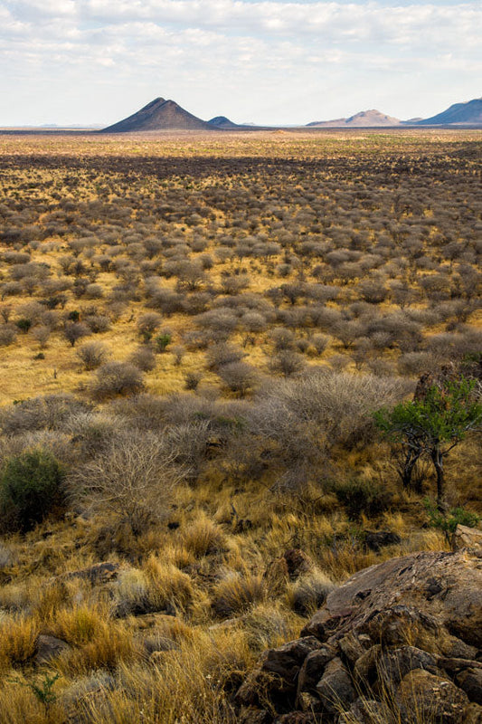 Memories of Namibia