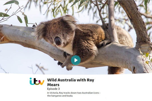 Wild Australia with Ray Mears - Episode 3 - 'Bush'