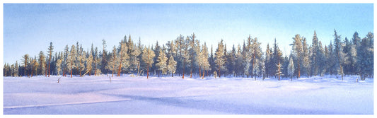 Win 1 of 5 Prints Signed by Ray Mears