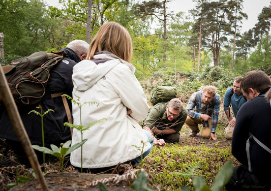 Walk in the Woods with Ray Mears