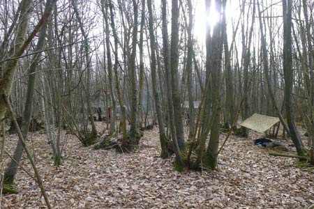 First Course of the Woodlore UK Season
