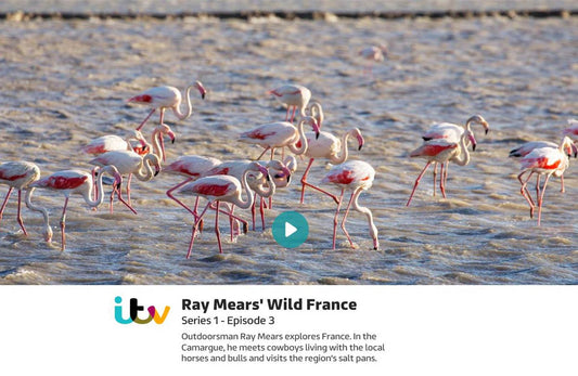 Wild France with Ray Mears - Episode 3 - 'The Camargue'