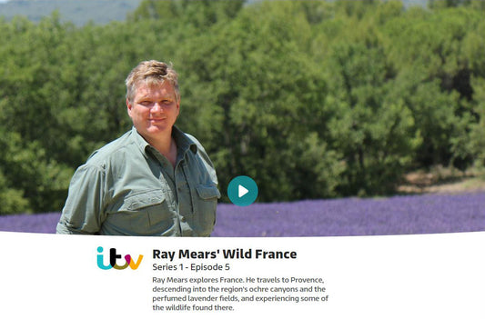 Wild France with Ray Mears - Episode 5 - Provence