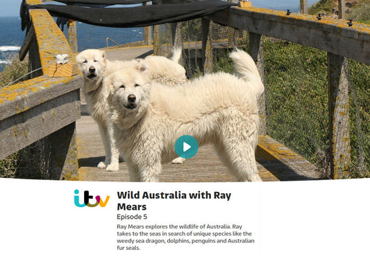 Wild Australia with Ray Mears - Episode 5 - 'Coast'