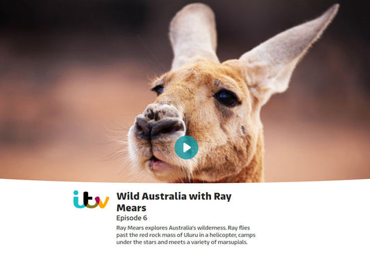 Wild Australia with Ray Mears - Episode 6 - 'Desert'