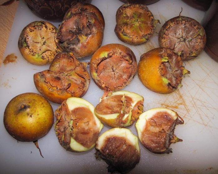 Meddling with Medlars
