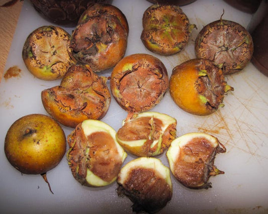 Meddling with Medlars