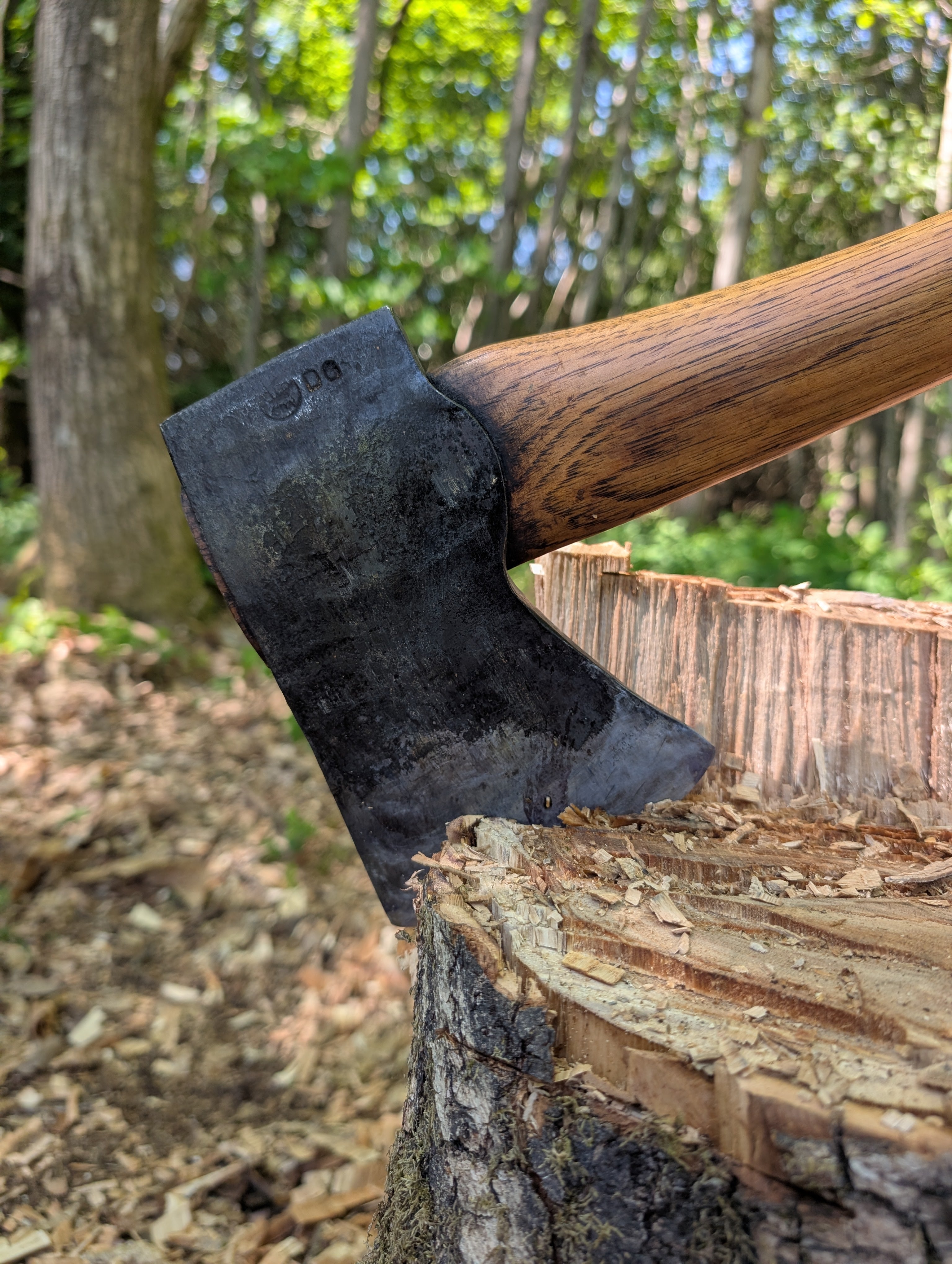 The Ultimate Felling Axe: Gränsfors Bruk’s Hand-Forged Powerhouse for the Wilderness