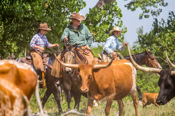 How the Wild West was Won, with Ray Mears