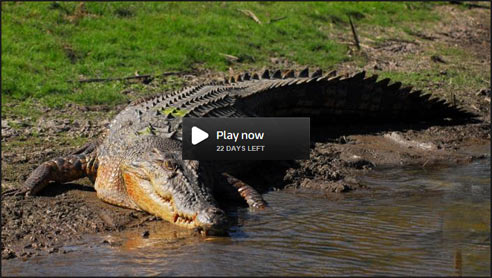 Watch Ray Mears - Close Encounters Online