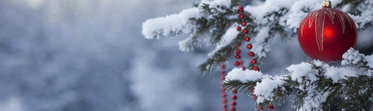 Two Free Gifts With Every Course Booking This Christmas