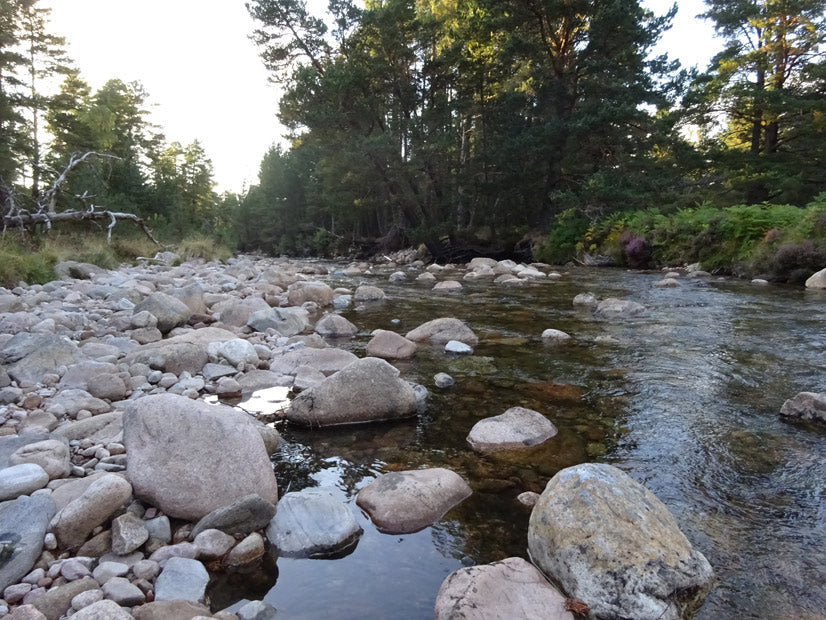 A Trip to The Highlands - Part 1