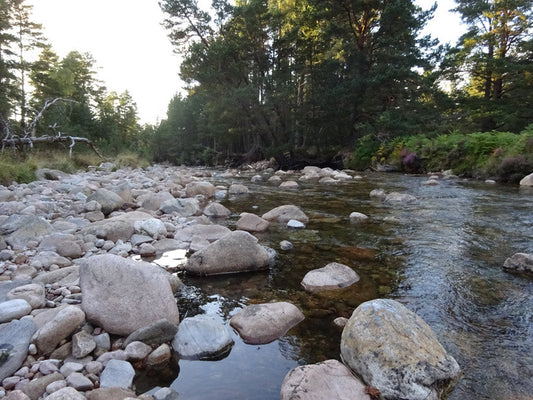 A Trip to The Highlands - Part 1