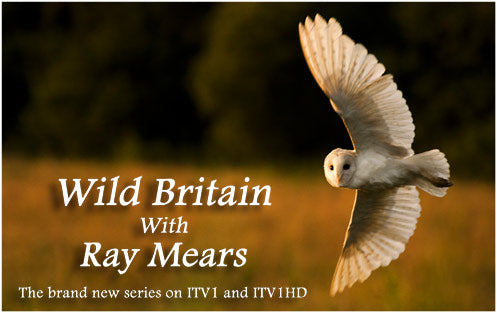 Wild Britain with Ray Mears on ITV1 - Series 2