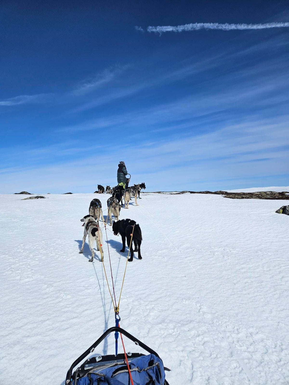 The Heroes of Telemark Expedition - COMING SOON