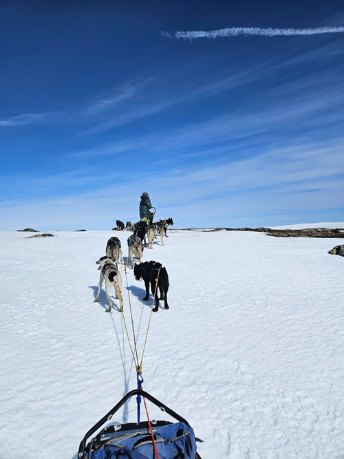 The Heroes of Telemark Expedition - COMING SOON