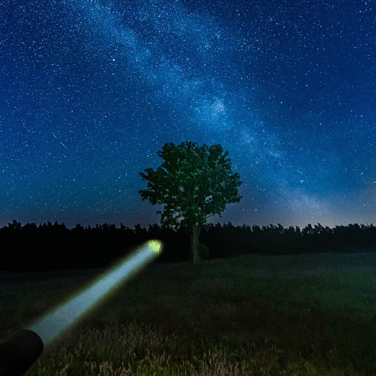 Ledlenser P9R Core LEP Rechargeable Torch