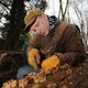 Person in a forest setting examining mushrooms on a log