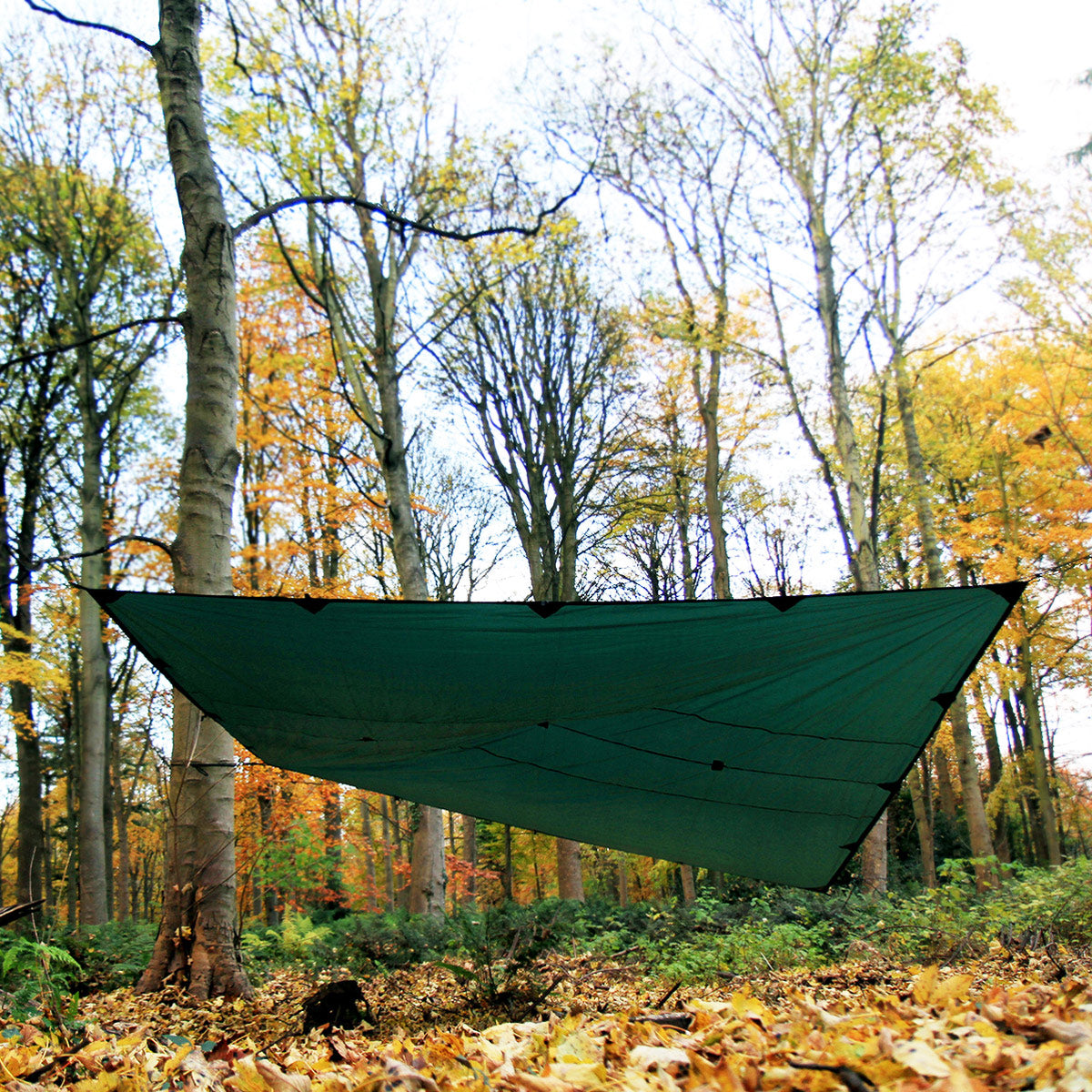 DD Tarp 4x4 – Woodlore Limited