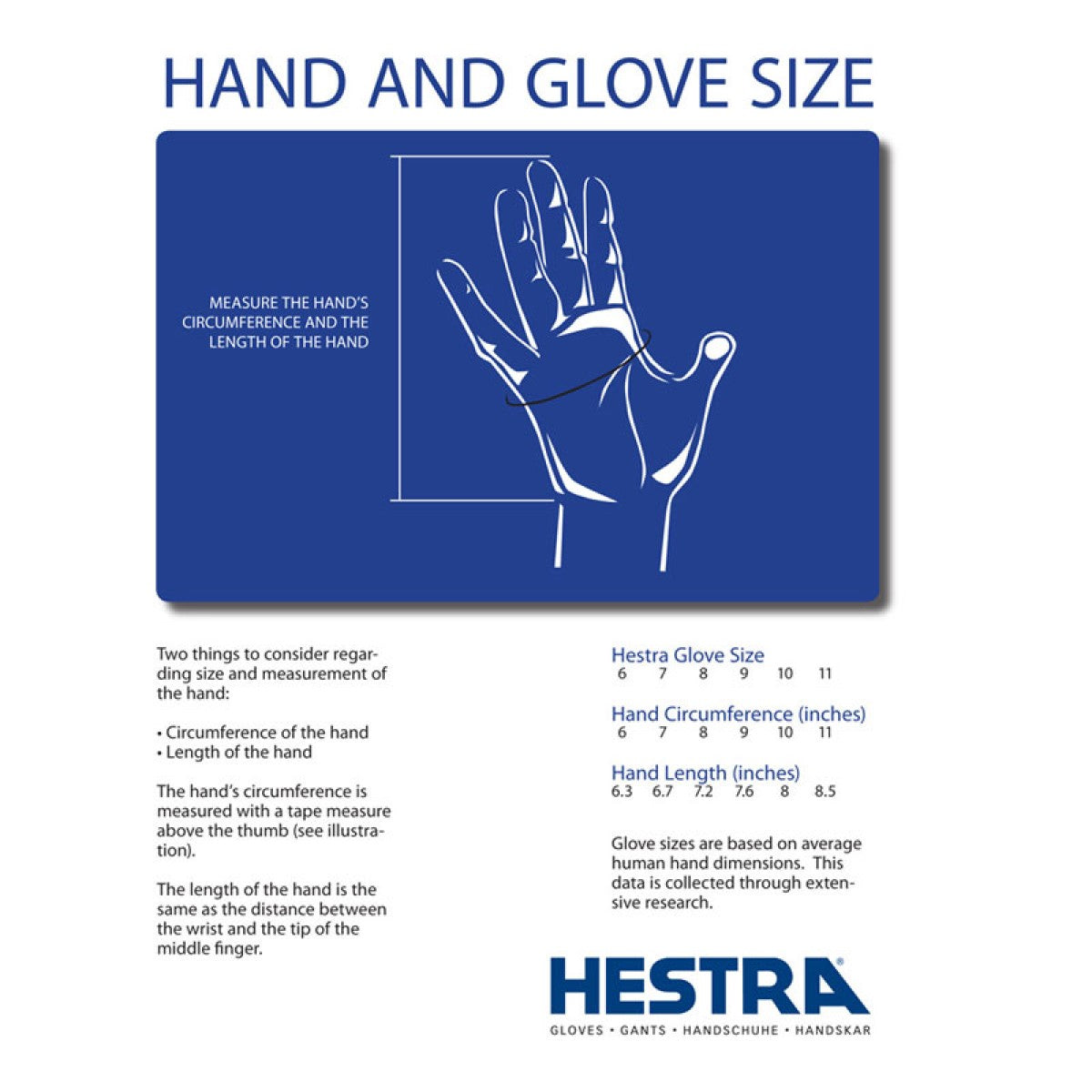 Hestra Neptune Glove