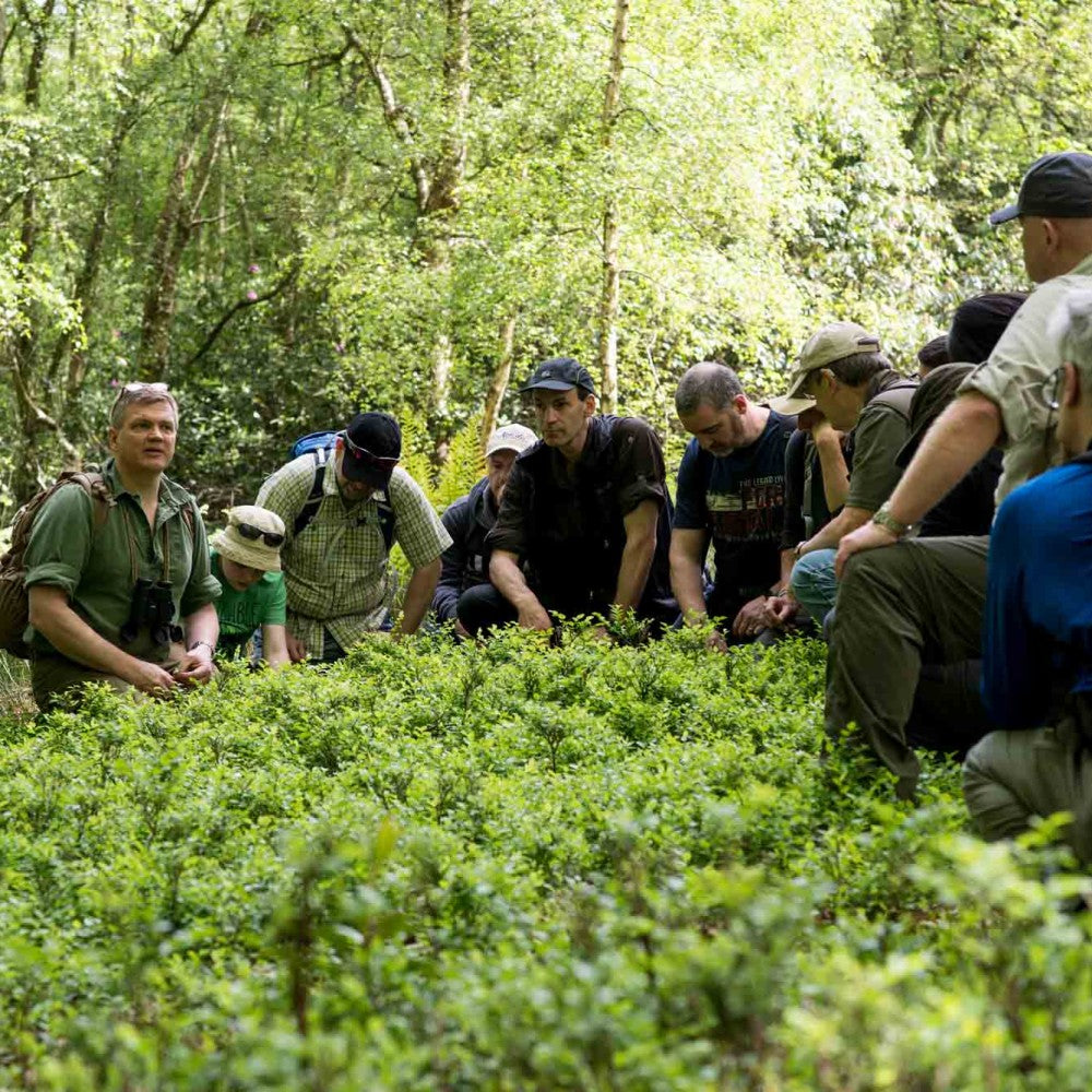 Walk in the Woods with Ray Mears