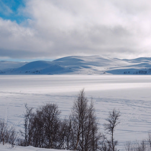 The Heroes of Telemark Expedition - COMING SOON