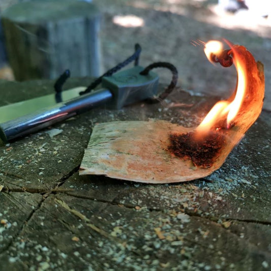 Introduction to Bushcraft