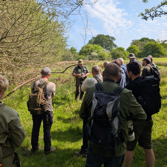 Walk in the Woods with Ray Mears