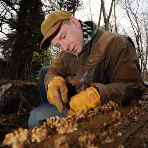 Autumn Fungi Forager