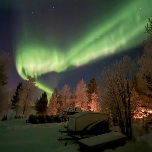 Arctic Bushcraft in the Northern Forest with Ray Mears