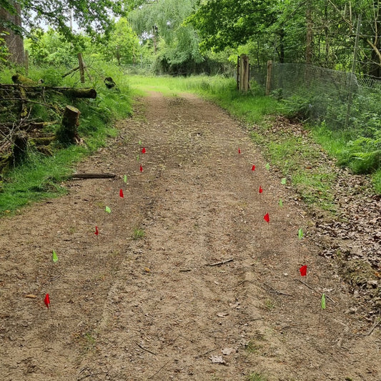 Woodlore Tracking Course
