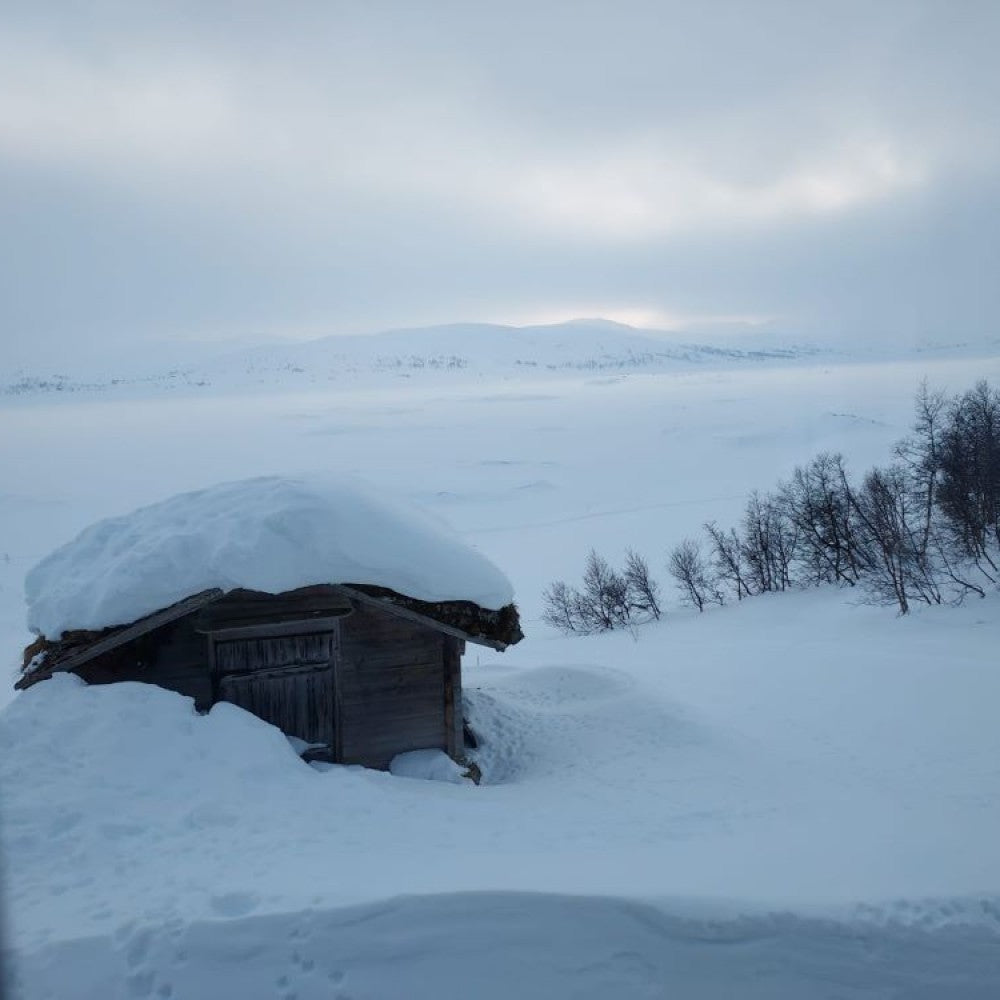 The Heroes of Telemark Expedition - COMING SOON