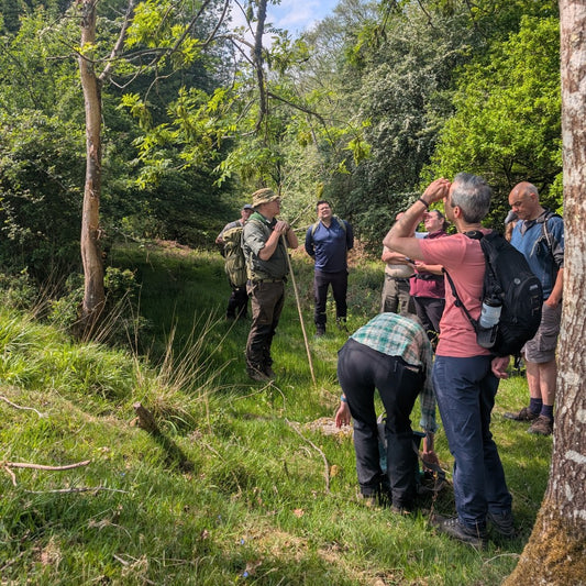 Walk in the Woods with Ray Mears