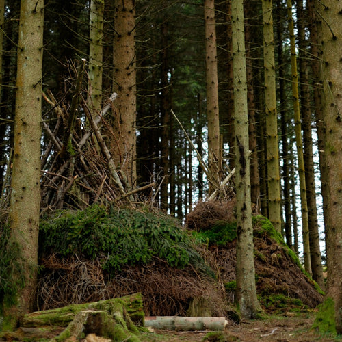 The Journeyman Course with Ray Mears