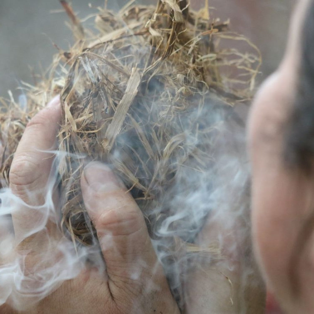 Introduction to Bushcraft