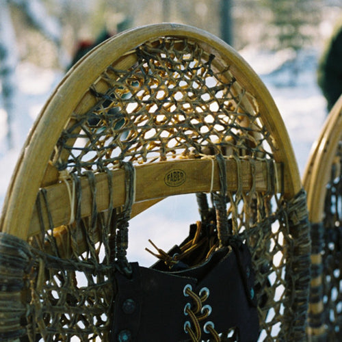 Arctic Bushcraft in the Northern Forest with Ray Mears