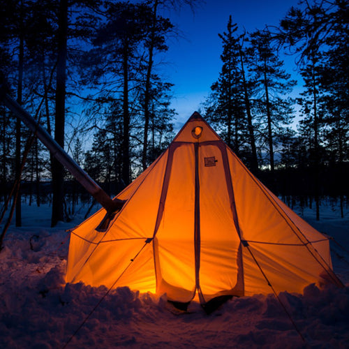 Arctic Bushcraft in the Northern Forest with Ray Mears