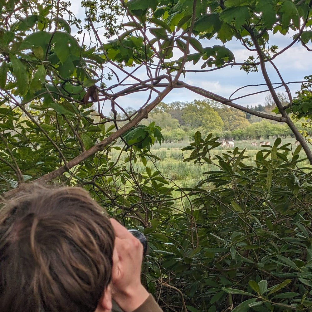 Woodlore Tracking Course