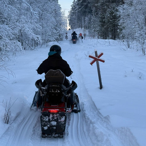 Arctic Bushcraft in the Northern Forest with Ray Mears