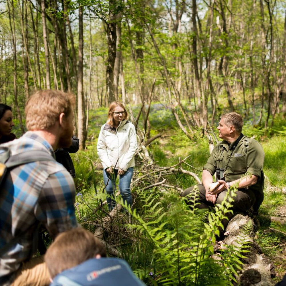 Walk in the Woods with Ray Mears