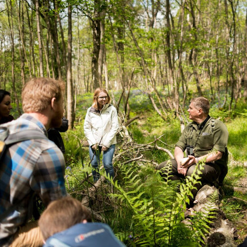 Walk in the Woods with Ray Mears
