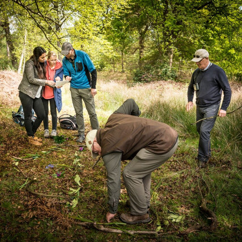 Walk in the Woods with Ray Mears