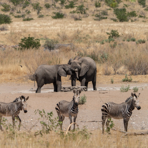 Tracking Safari in Namibia with Ray Mears