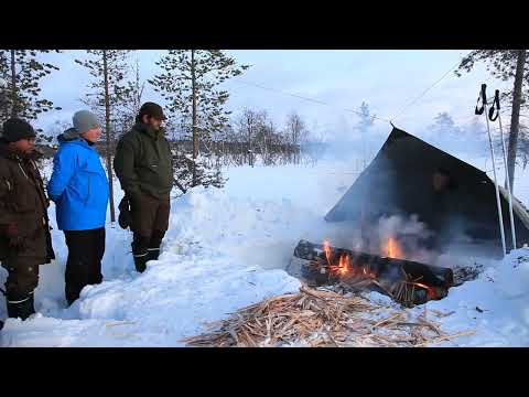 Arctic Bushcraft in the Northern Forest with Ray Mears