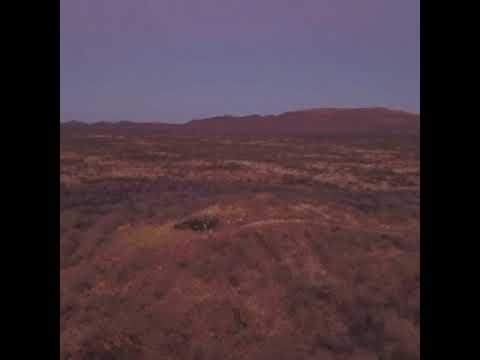 Tracking Safari in Namibia with Ray Mears