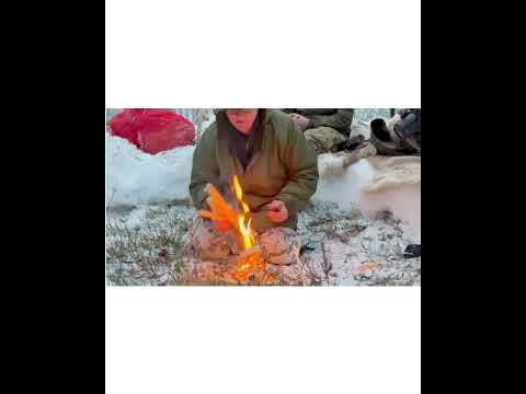 Arctic Bushcraft in the Northern Forest with Ray Mears